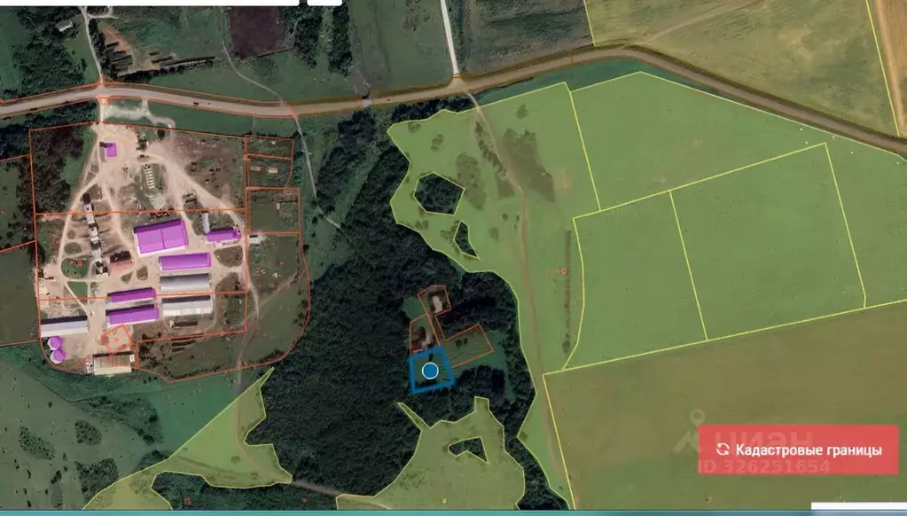 Участок в Алтайский край, Петропавловский район, с. Алексеевка ... - Фото 1