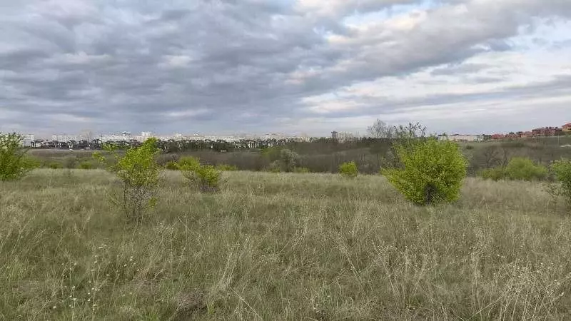 Участок в Белгородская область, Белгородский район, Дубовское с/пос, ... - Фото 1