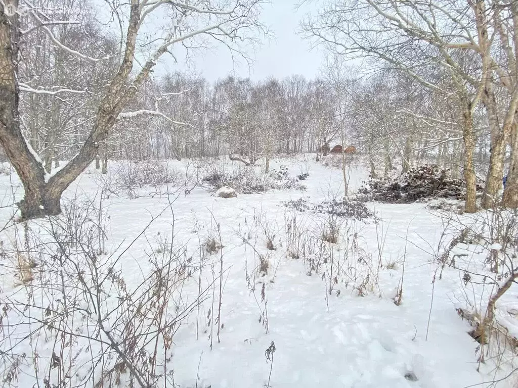 Участок в Камчатский край, Елизовский муниципальный округ, СНТ ... - Фото 2