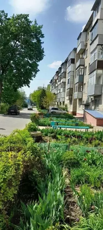1-к кв. Белгородская область, Старый Оскол Приборостроитель мкр, 10 ... - Фото 0