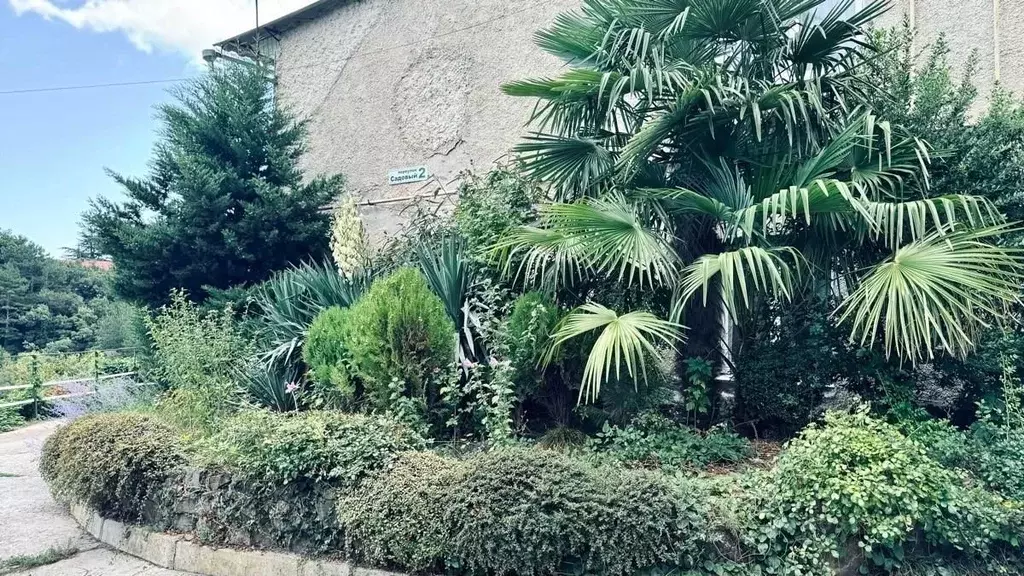 3-к кв. Крым, Алушта муниципальный округ, с. Запрудное пер. Садовый, 2 ... - Фото 2