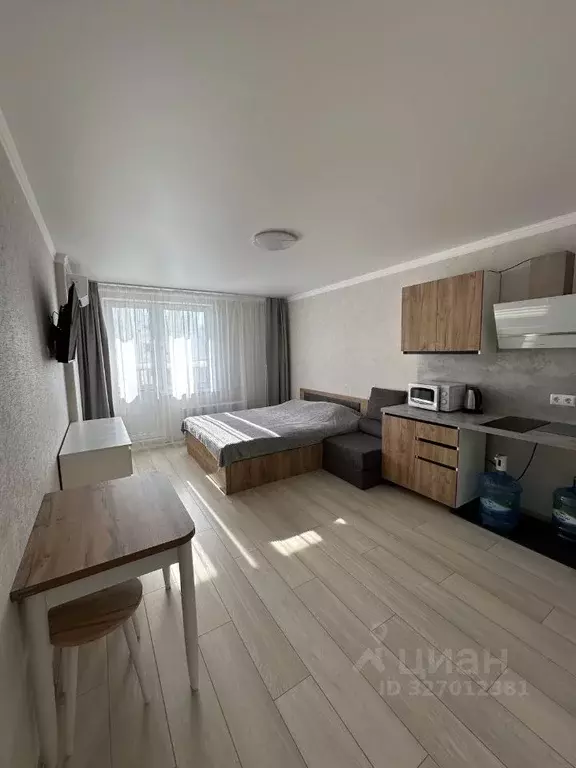 Студия Краснодарский край, Анапа ул. Ленина, 239 (27.7 м) - Фото 1