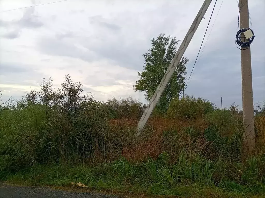 Участок в Тюмень, садовое товарищество Царево (4.78 м) - Фото 1
