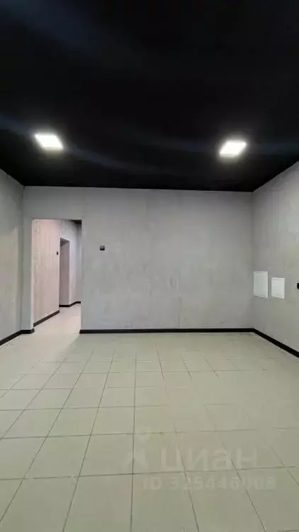 Офис в Иркутская область, Иркутск ул. Ядринцева, 29/2 (13 м) - Фото 2