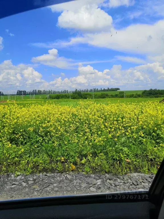 Дом в Белгородская область, Белгородский район, с. Стрелецкое ... - Фото 1