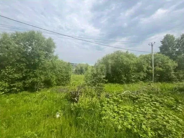 Участок в Амурская область, Благовещенский район, Малина СТ  (6.0 ... - Фото 0