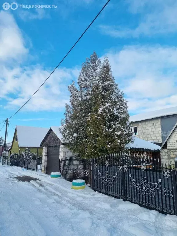 Дом в Калининградская область, Багратионовский муниципальный округ, ... - Фото 1