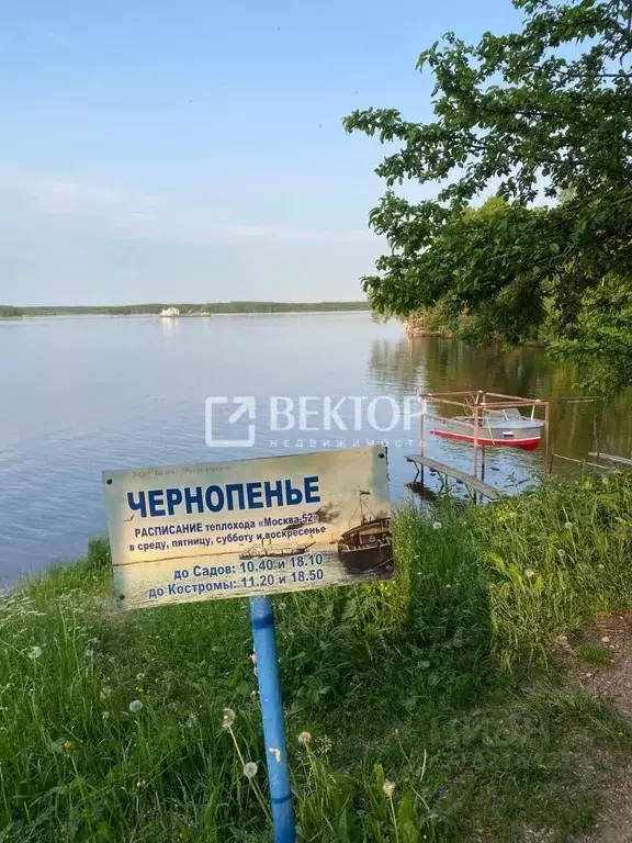 Участок в Костромская область, Костромской район, Чернопенское с/пос, ... - Фото 1