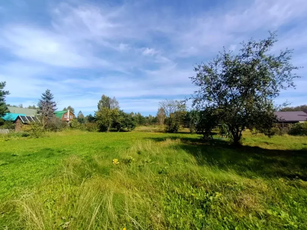 Участок в Московская область, Рузский муниципальный округ, пос. ... - Фото 2