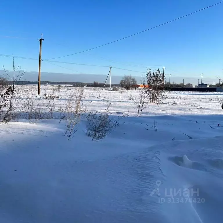 Участок в Московская область, Коломна городской округ, с. Коробчеево  ... - Фото 0