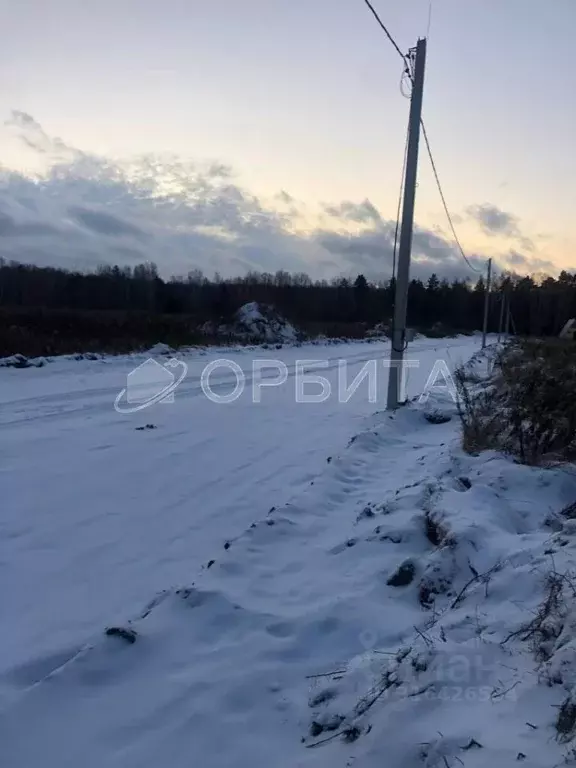 Участок в Тюменская область, Тюменский район, с. Каменка  (10.0 сот.) - Фото 1