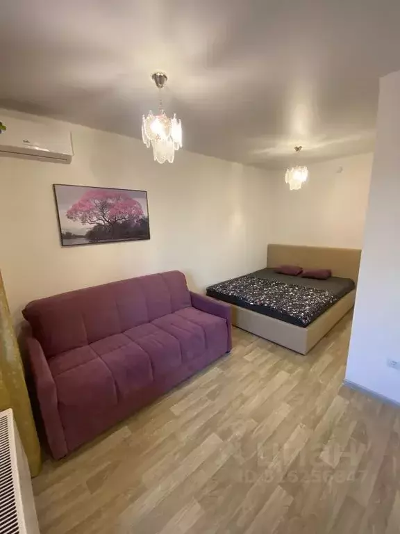 Студия Волгоградская область, Волгоград ул. Глазкова, 12 (25.0 м) - Фото 1