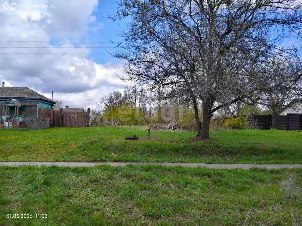 Участок в Борисоглебский городской округ, село Калинино, Центральная ... - Фото 2