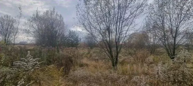 Участок в Московская область, Серпухов городской округ, с. Липицы  ... - Фото 1