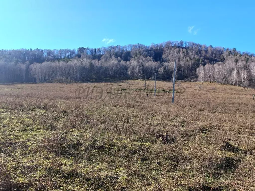 Участок в Алтай, Майминский район, с. Бирюля ул. Таркольская, 6 (15.0 ... - Фото 2