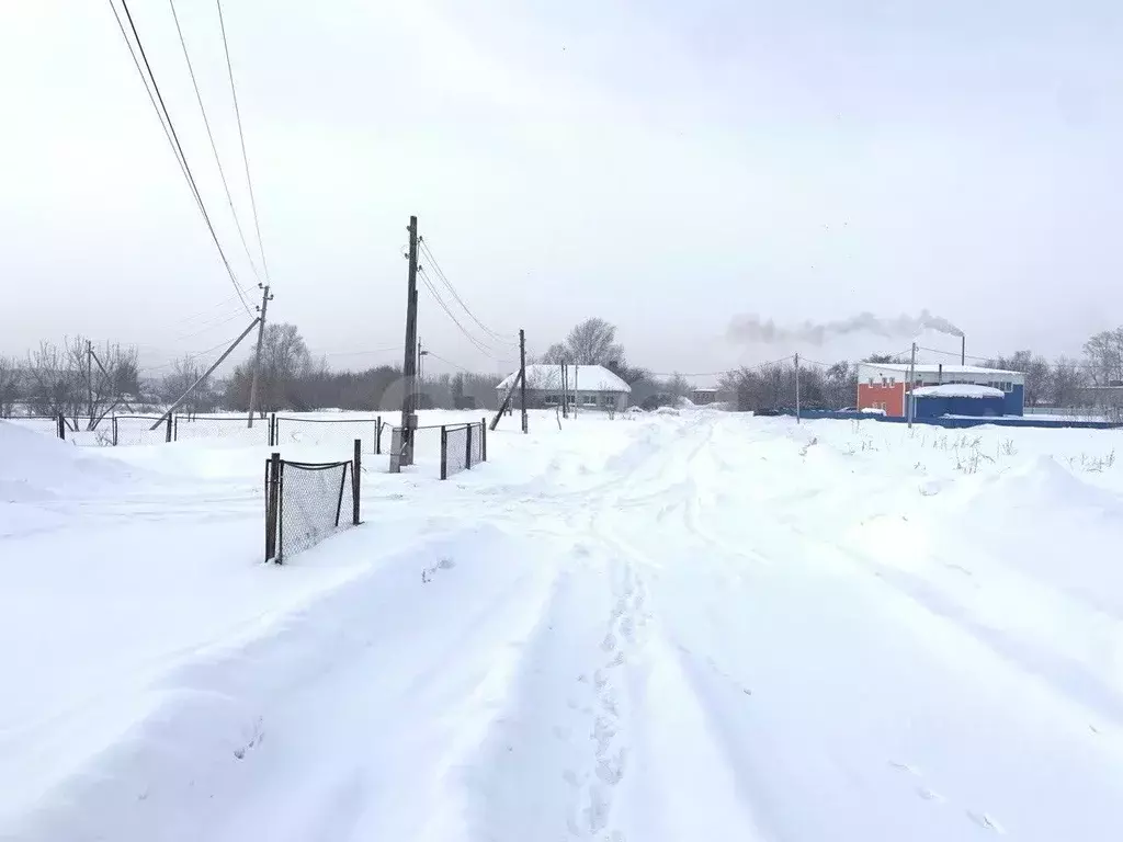 Участок в Новосибирская область, Новосибирский район, с. Ярково ... - Фото 2