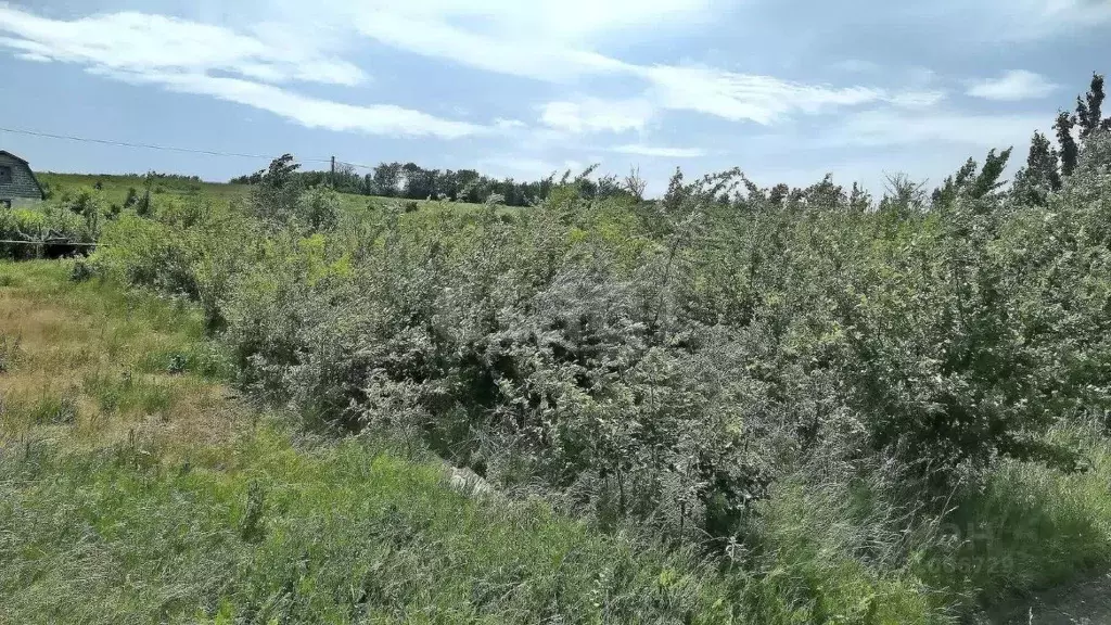 Участок в Ставропольский край, Ставрополь Северное-2 садовое ... - Фото 2