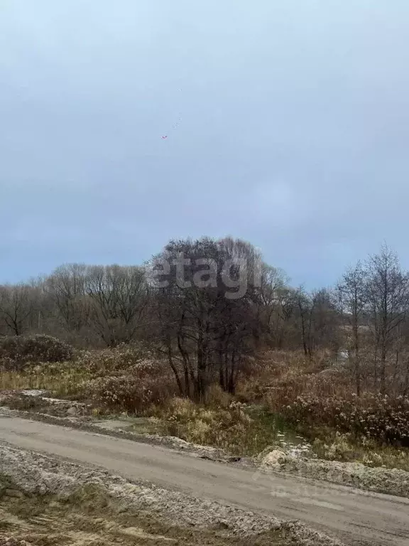 Участок в Калининградская область, Калининград Золотой Петушок ДНТ,  ... - Фото 1