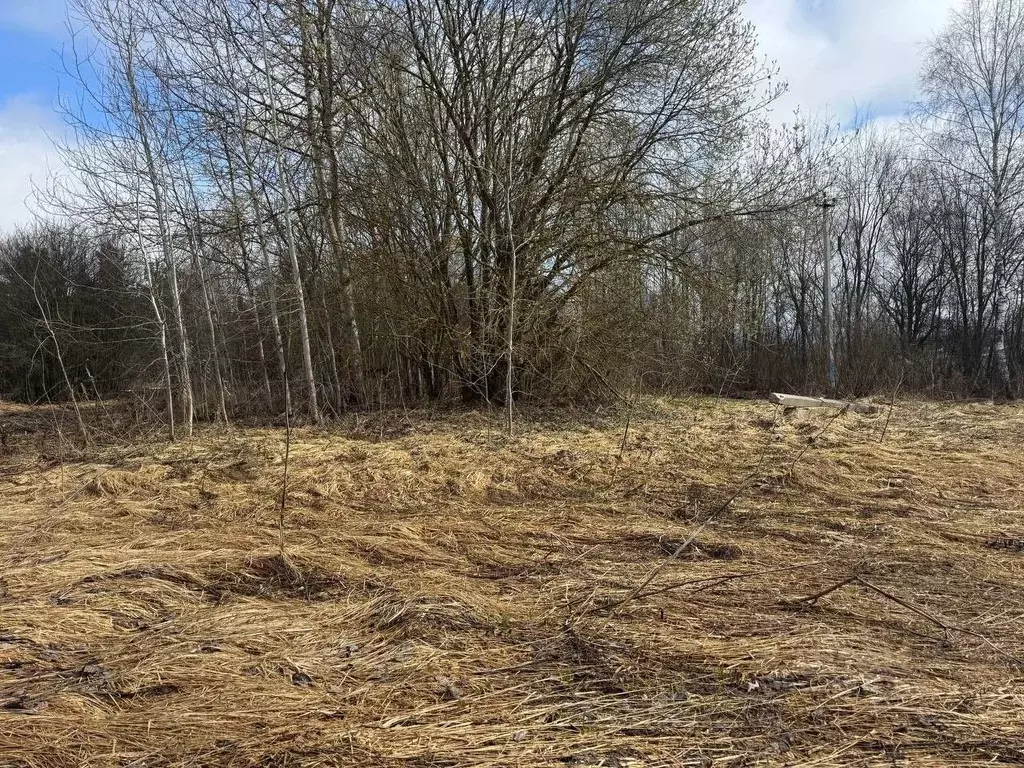 Участок в Московская область, Богородский городской округ, д. Ново 63А ... - Фото 1
