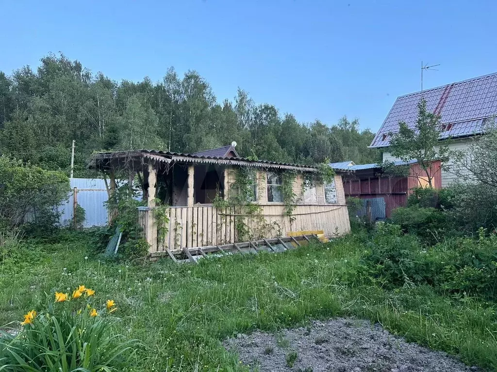 Участок 6 сот. (СНТ, ДНП) - Фото 1