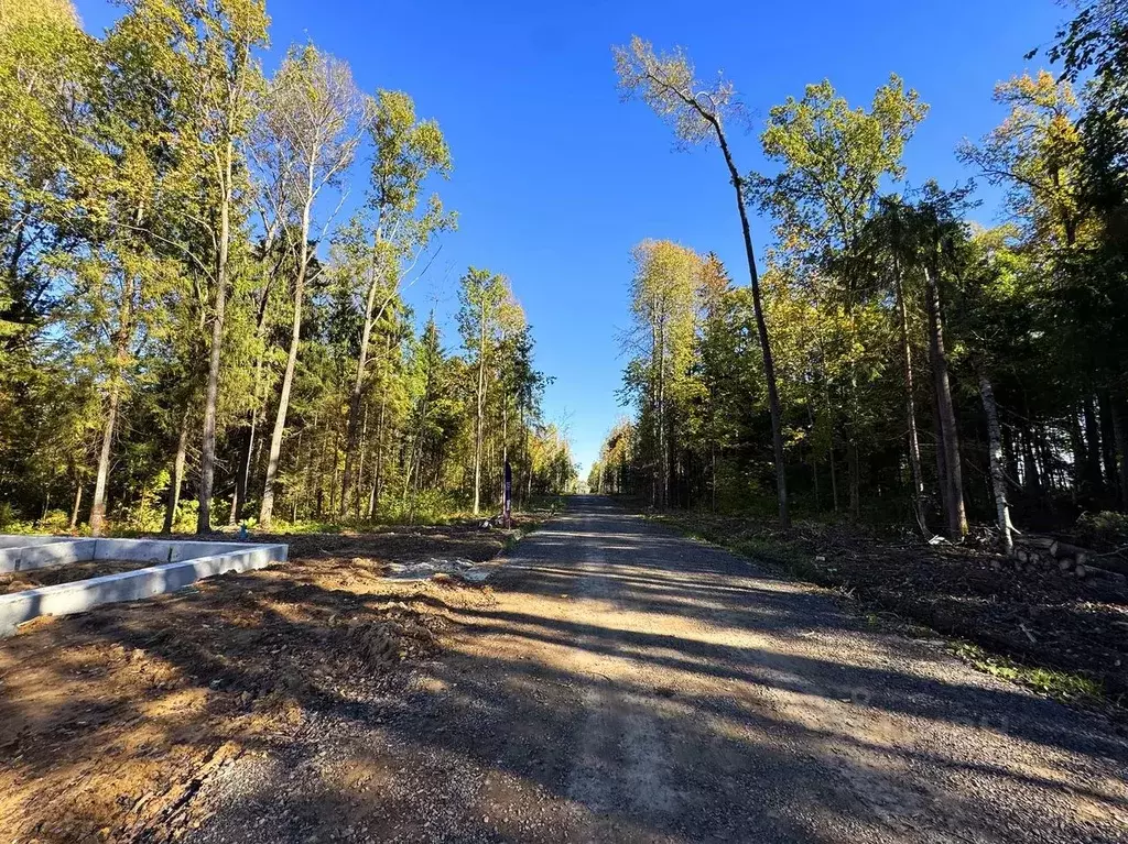 Участок в Московская область, Дмитровский муниципальный округ, ... - Фото 2