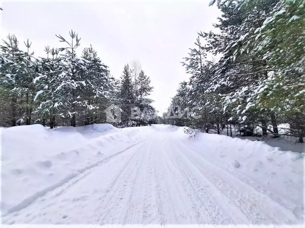 Участок в Владимирская область, Владимир Миловка СТ,  (37.3 сот.) - Фото 1