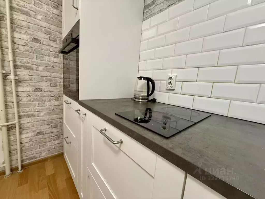 2-к кв. Санкт-Петербург пос. Парголово, ул. Федора Абрамова, 21к3 ... - Фото 2