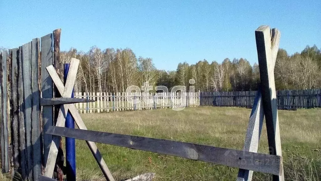 Погода в колташево курганская область. Колташево Курганская область.