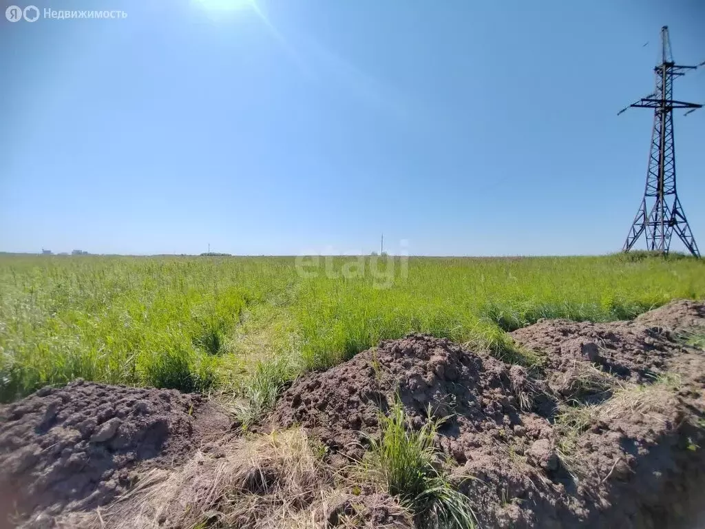 Участок в Московская область, городской округ Коломна, деревня ... - Фото 1