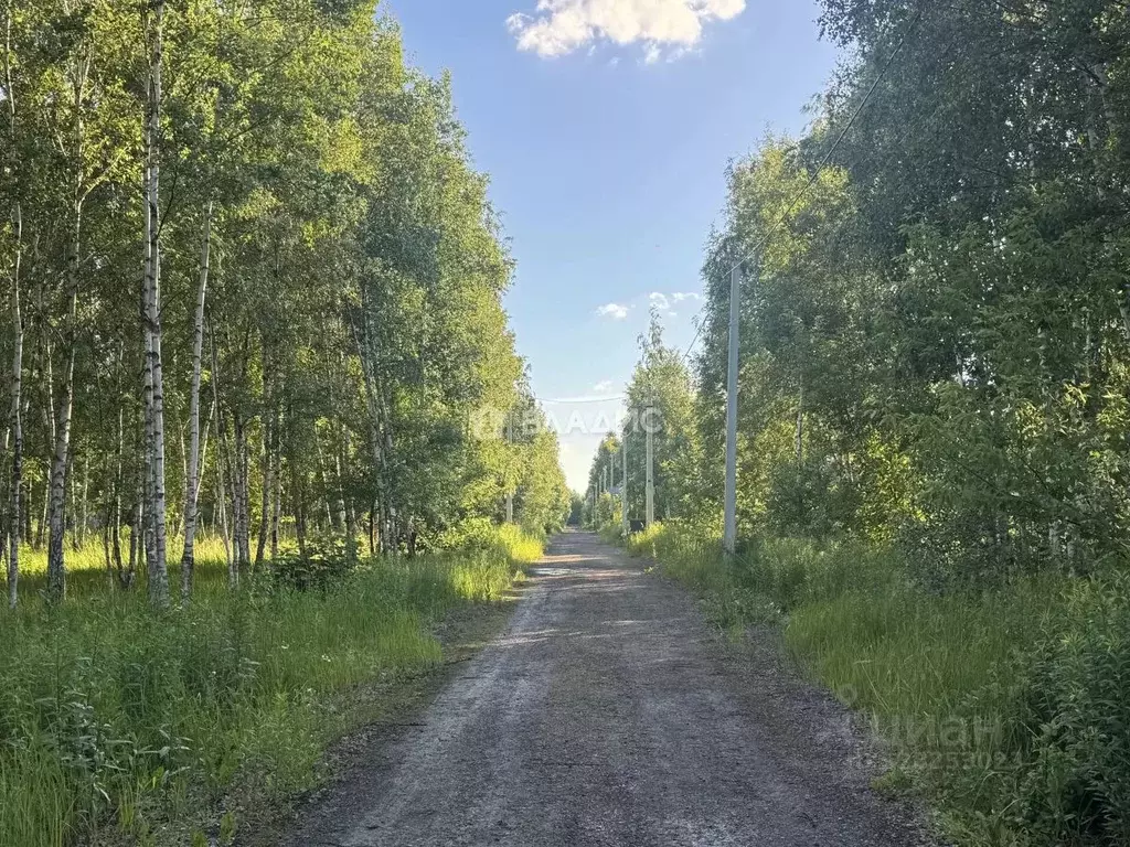 Участок в Воронежская область, Новоусманский район, с. Бабяково ул. ... - Фото 1