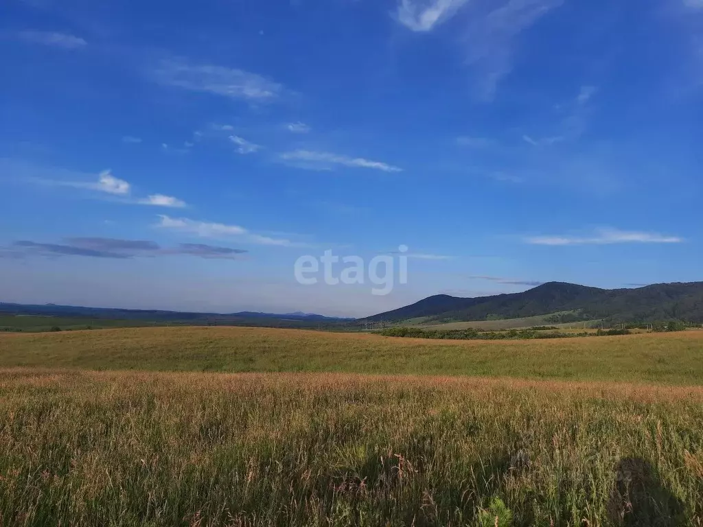 Участок в Алтайский край, Белокуриха ул. Академика Мясникова, 23 ... - Фото 1