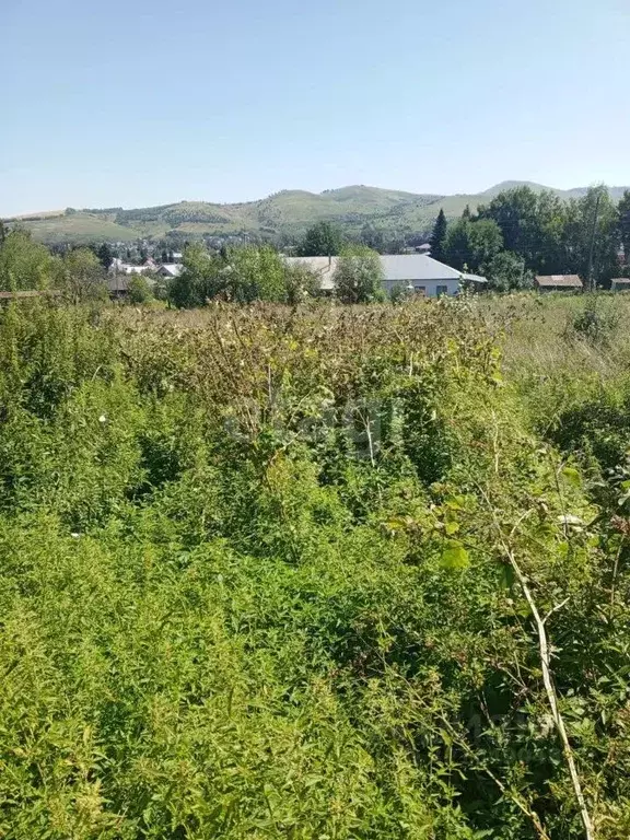Участок в Алтайский край, Алтайский район, с. Алтайское ул. Горная, 31 ... - Фото 0