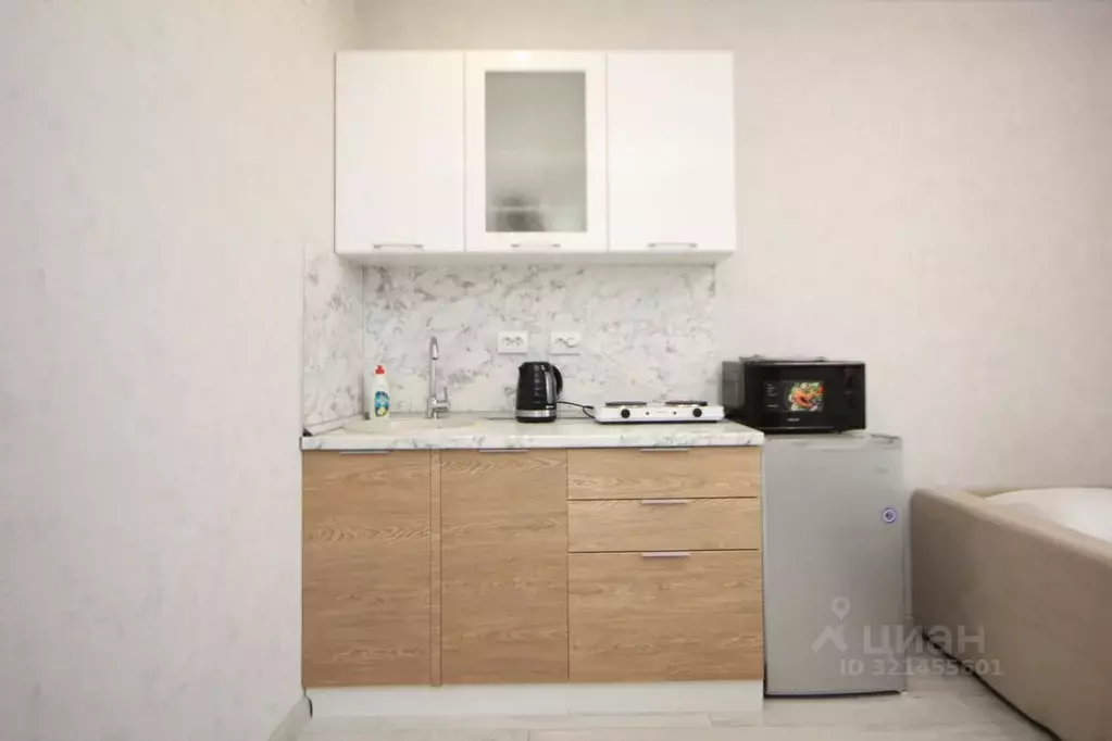 Студия Новосибирская область, Новосибирск ул. Забалуева, 102/1 (22.0 ... - Фото 0