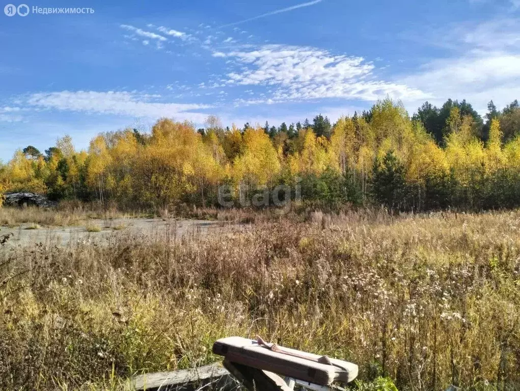 Участок в Нижняя Салда, улица Луначарского (16.4 м) - Фото 1