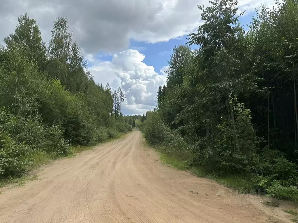 Дом в Ленинградская область, Выборгский район, Первомайское с/пос, ... - Фото 2