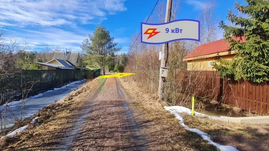 Участок в Ленинградская область, Выборгский район, Рощинское городское ... - Фото 2
