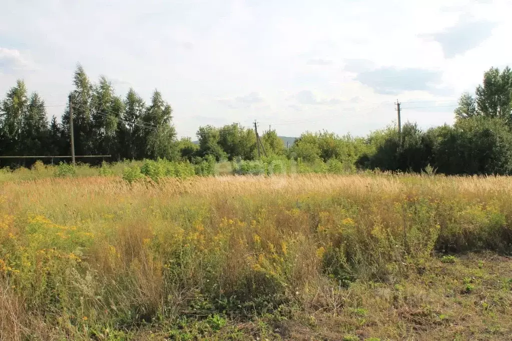 Участок в Белгородская область, Старый Оскол пер. Горняшка (15.0 сот.) - Фото 0