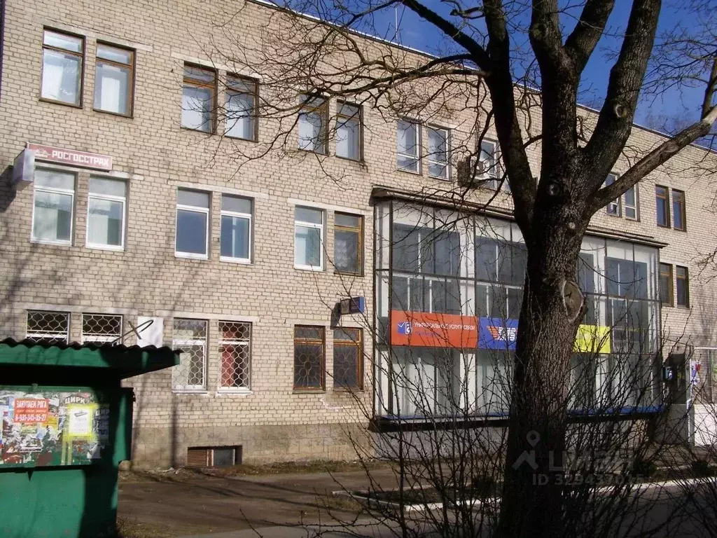 Помещение свободного назначения в Псковская область, Пустошка ... - Фото 1
