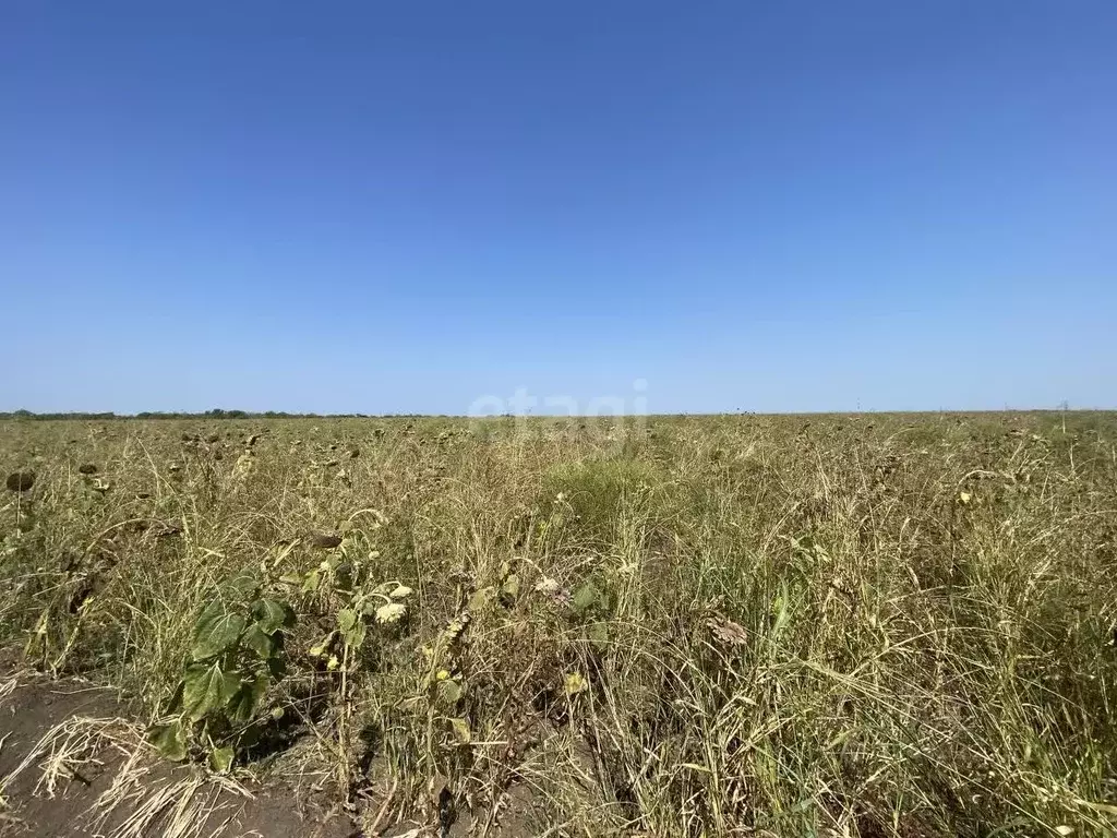 Участок в Краснодарский край, Ейск ул. Александра Вострикова (6.0 ... - Фото 0