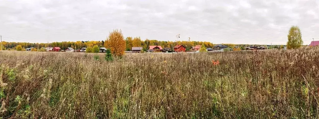 Участок в Владимирская область, Александровский район, Новый Мир кп  ... - Фото 0