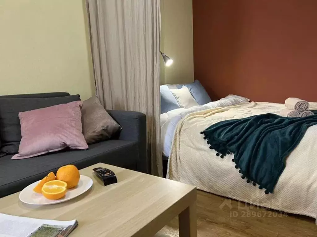 1-к кв. Новосибирская область, Новосибирск ул. Ватутина, 39 (18.0 м) - Фото 1