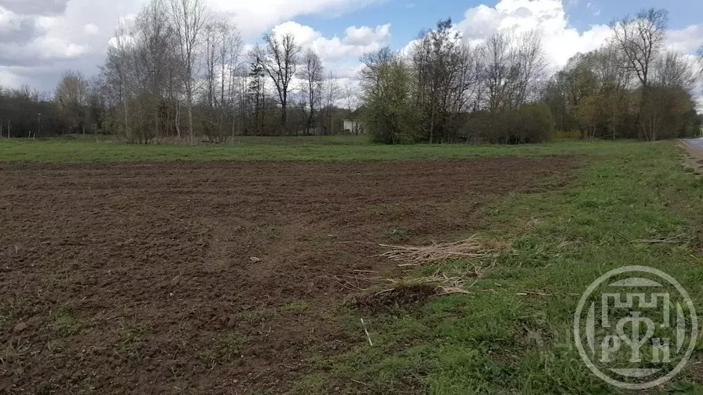 Участок в Ленинградская область, Лужский район, Заклинское с/пос, д. ... - Фото 2