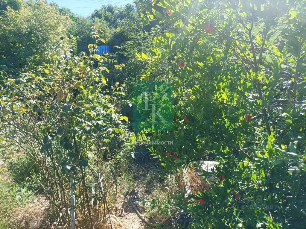 Участок в Севастополь ТСН СНТ Строитель-2 тер.,  (6.4 сот.) - Фото 1