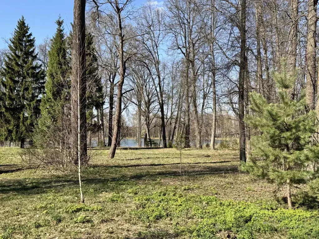 Участок в Московская область, Мытищи городской округ, с. Федоскино ул. ... - Фото 2