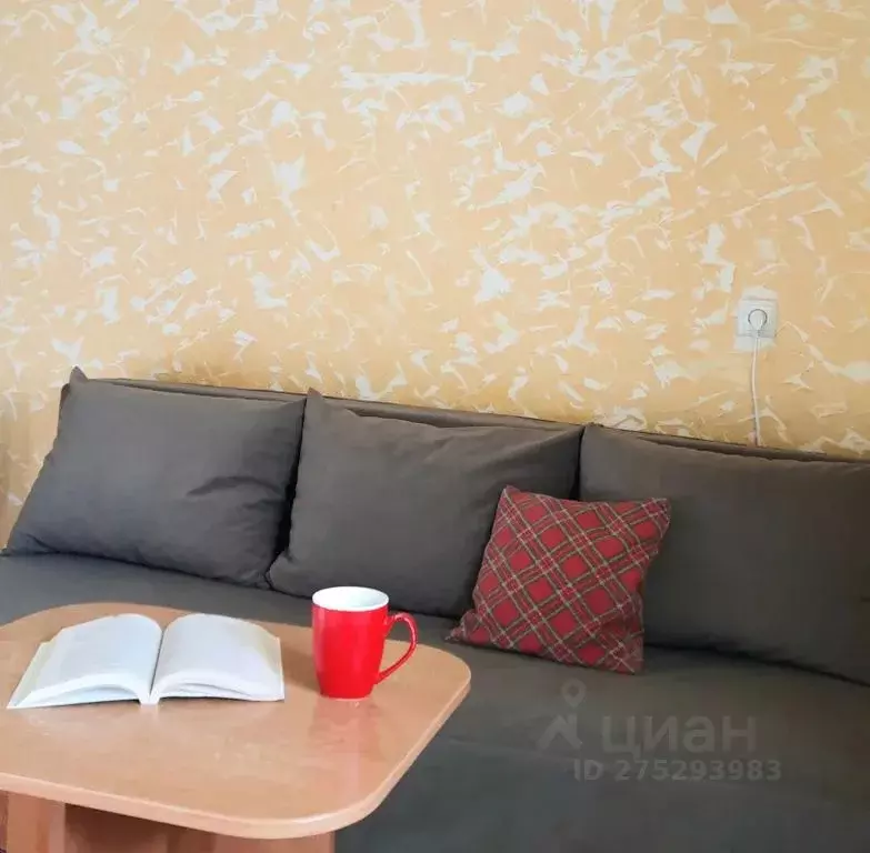 Студия Крым, Евпатория ул. Пушкина, 16 (20.0 м) - Фото 2