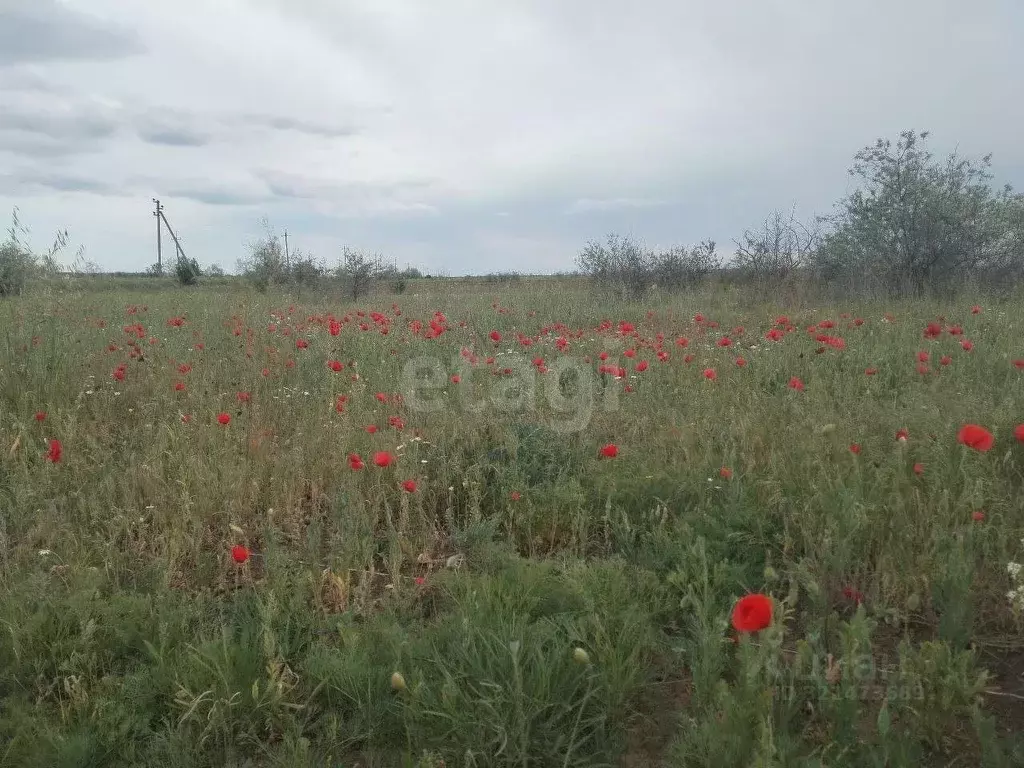 Участок в Крым, Ленинский район, Семисотское с/пос, с. Каменское ул. ... - Фото 0
