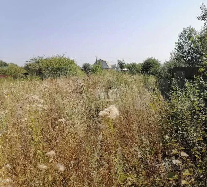 Участок в Башкортостан, Уфимский район, Таптыковский сельсовет, Пласт ... - Фото 1