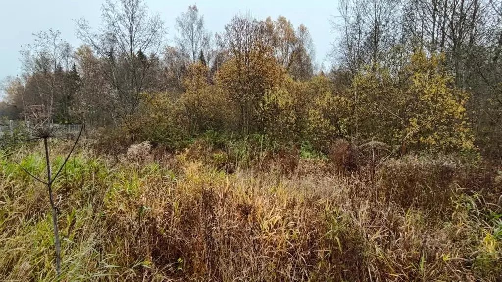 Участок в Московская область, Рузский муниципальный округ, д. Мытники  ... - Фото 1