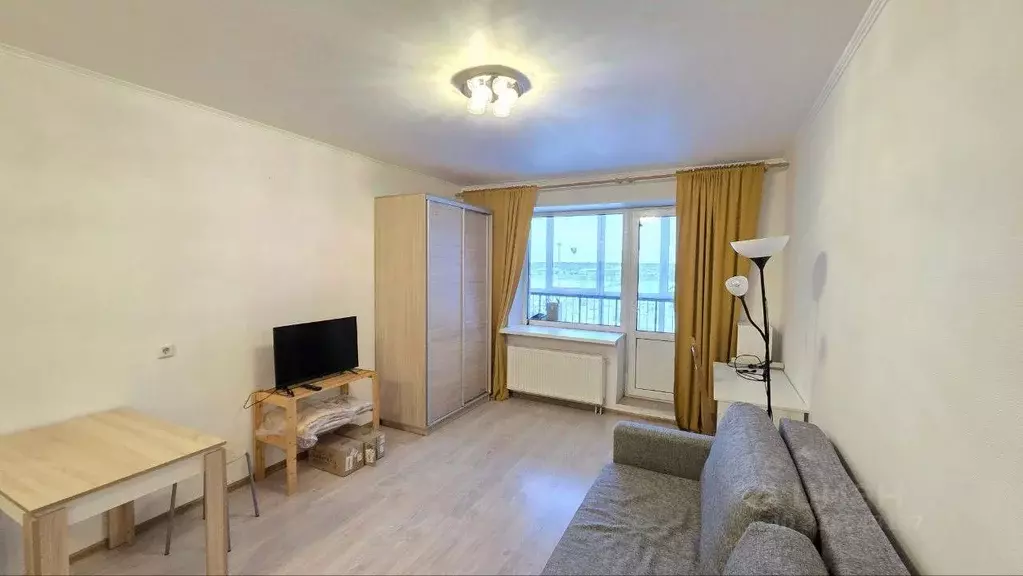 Студия Ленинградская область, Всеволожский район, Заневское городское ... - Фото 1