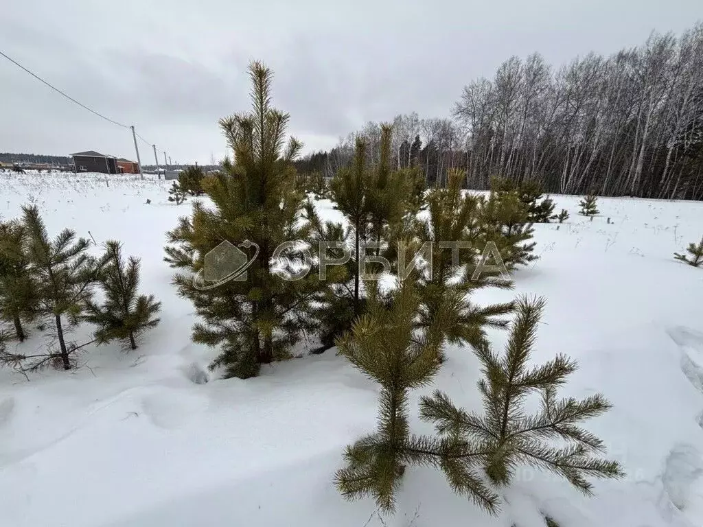 Участок в Тюменская область, Тюменский муниципальный округ, с. Кулига  ... - Фото 1